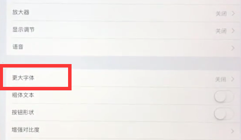 ipad字体怎么调大小