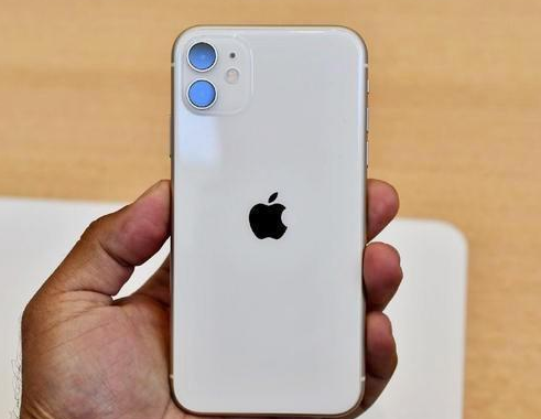 iPhone X手机屏幕发白、无法启动怎么办