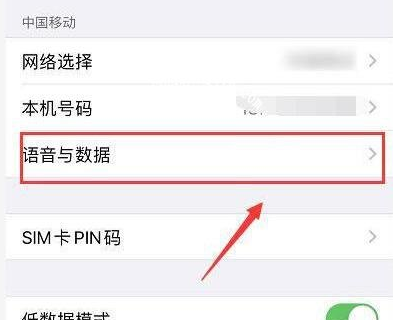 接着选择【语音与数据】一项，点击进入