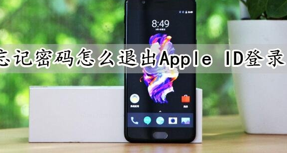 天津苹果id维修点分享忘记密码怎么退出Apple ID登录