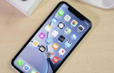 哈尔滨苹果xr维修点分享iPhone XR究竟是买白色还是黑色的好