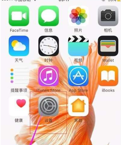 西安苹果手机维修分享苹果iPhone查看手机存储容量和内存大小图文教程