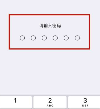 根据系统要求输入自行设置的6位数字密码对【还原网络设置】进行授权