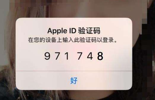 西安iPhone维修网点分享苹果手机关闭双重认证的几种方法【图文教程】