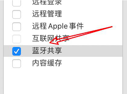 选中左边的蓝牙共享