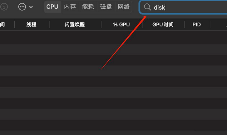 在活动监视器右上角的搜索框中输入“disk”。