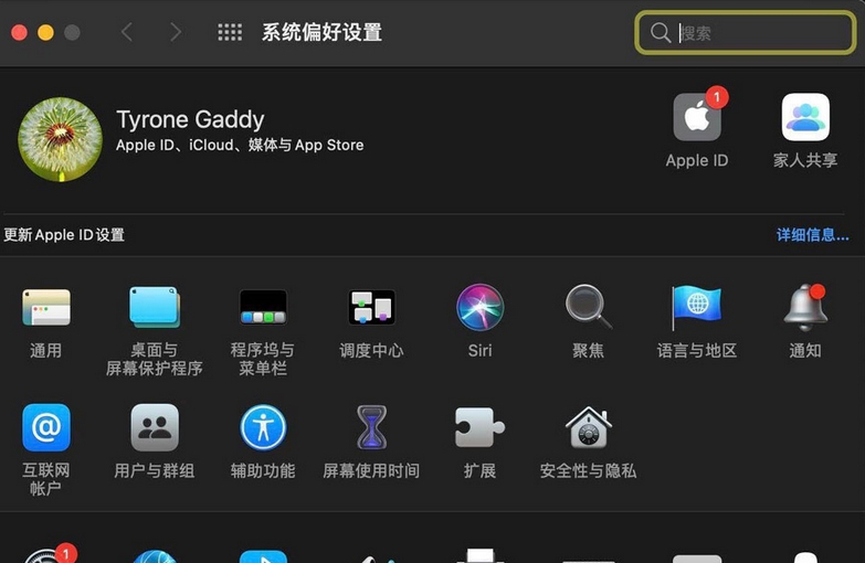 macOS big sur系统中的短语怎么添加删除