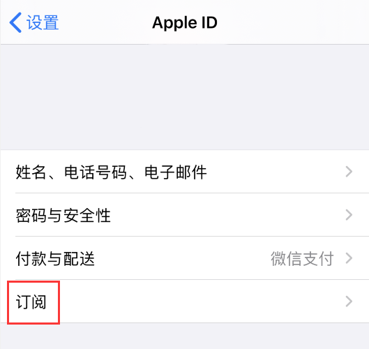  App Store 订阅项目