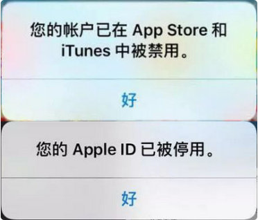 石家庄苹果维修受理门店分享如何解决AppleID停用的问题?