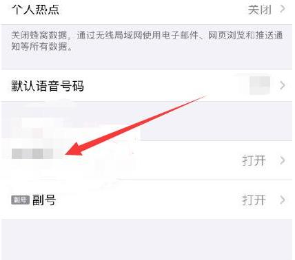 上海苹果维修网点分享如何将iPhone4G网络设置为5G网络?