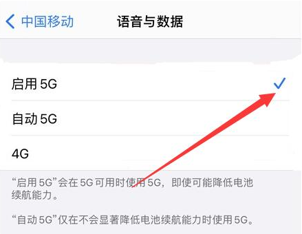 上海苹果维修网点分享如何将iPhone4G网络设置为5G网络?