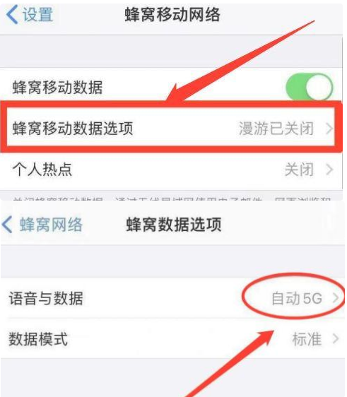 合肥苹果13维修点分享iPhone13如何关闭5G网络?iPhone13恒定4G设置方法