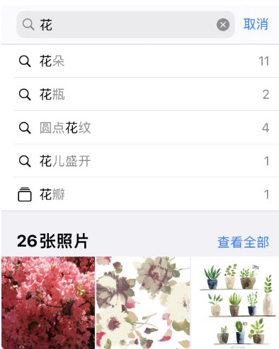 沈阳苹果维修受理网点：iPhone有效管理和整理相册