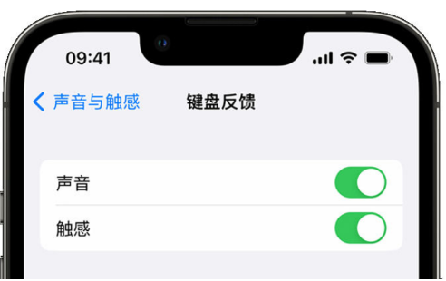 深圳苹果14维修网点分享iPhone14如何开启触感键盘?iPhone14触感键盘使用方法